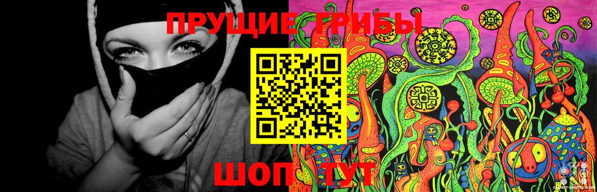 Псилоцибиновые грибы GOLDEN TEACHER  Вход с VPN  Назрань 